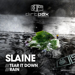 Cover of Tear It Down / Rain