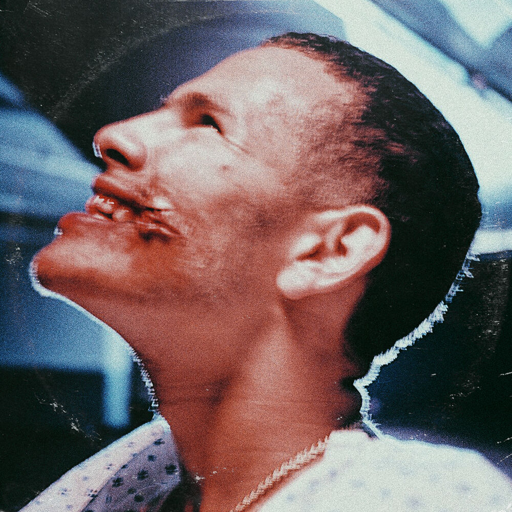 Picture of Polaroid