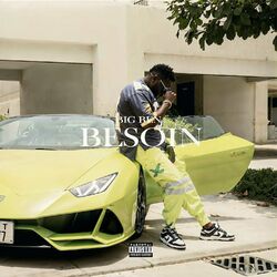 Cover of Besoin
