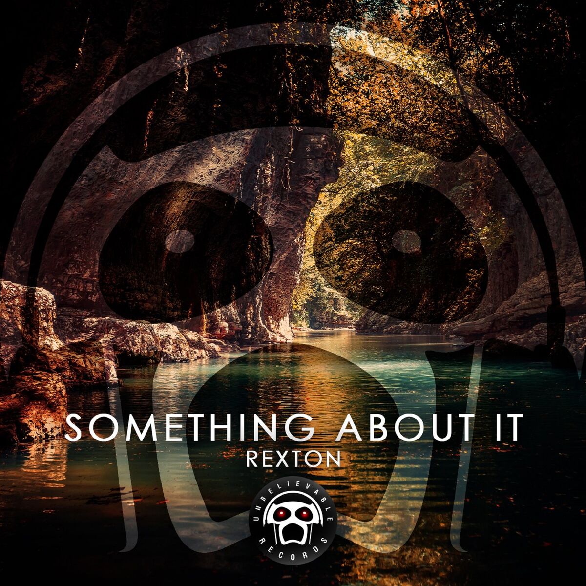 Album cover of Something About You