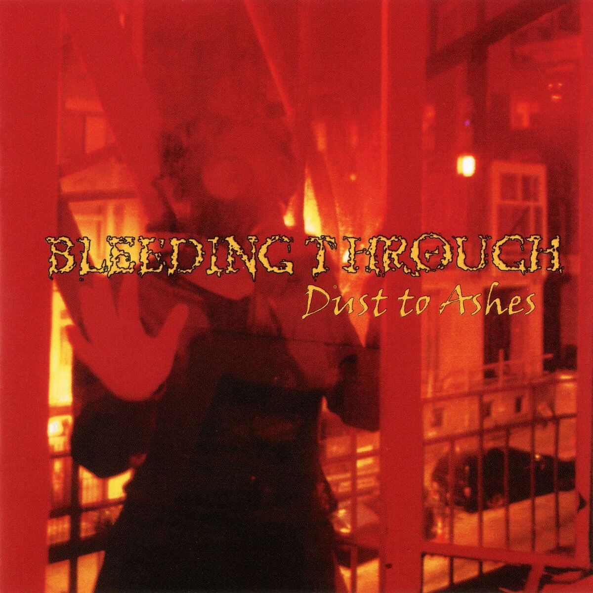 Album cover of Dust To Ashes