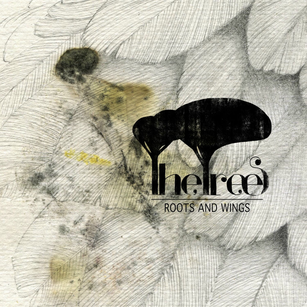 Album cover of Roots and Wings