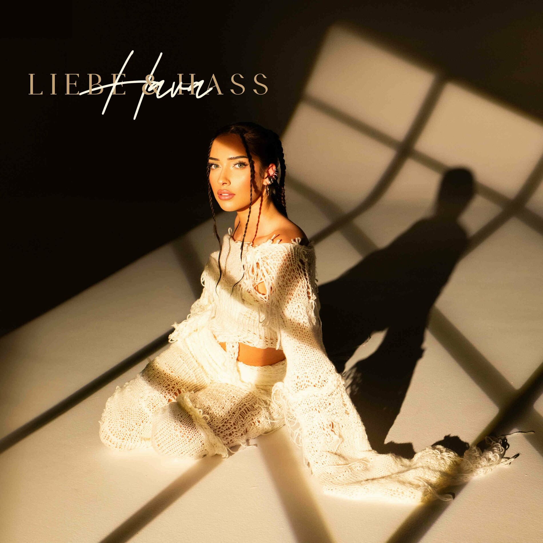 Album cover of LIEBE & HASS