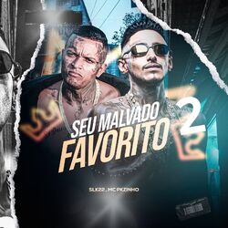 Cover of Seu Malvado Favorito 2
