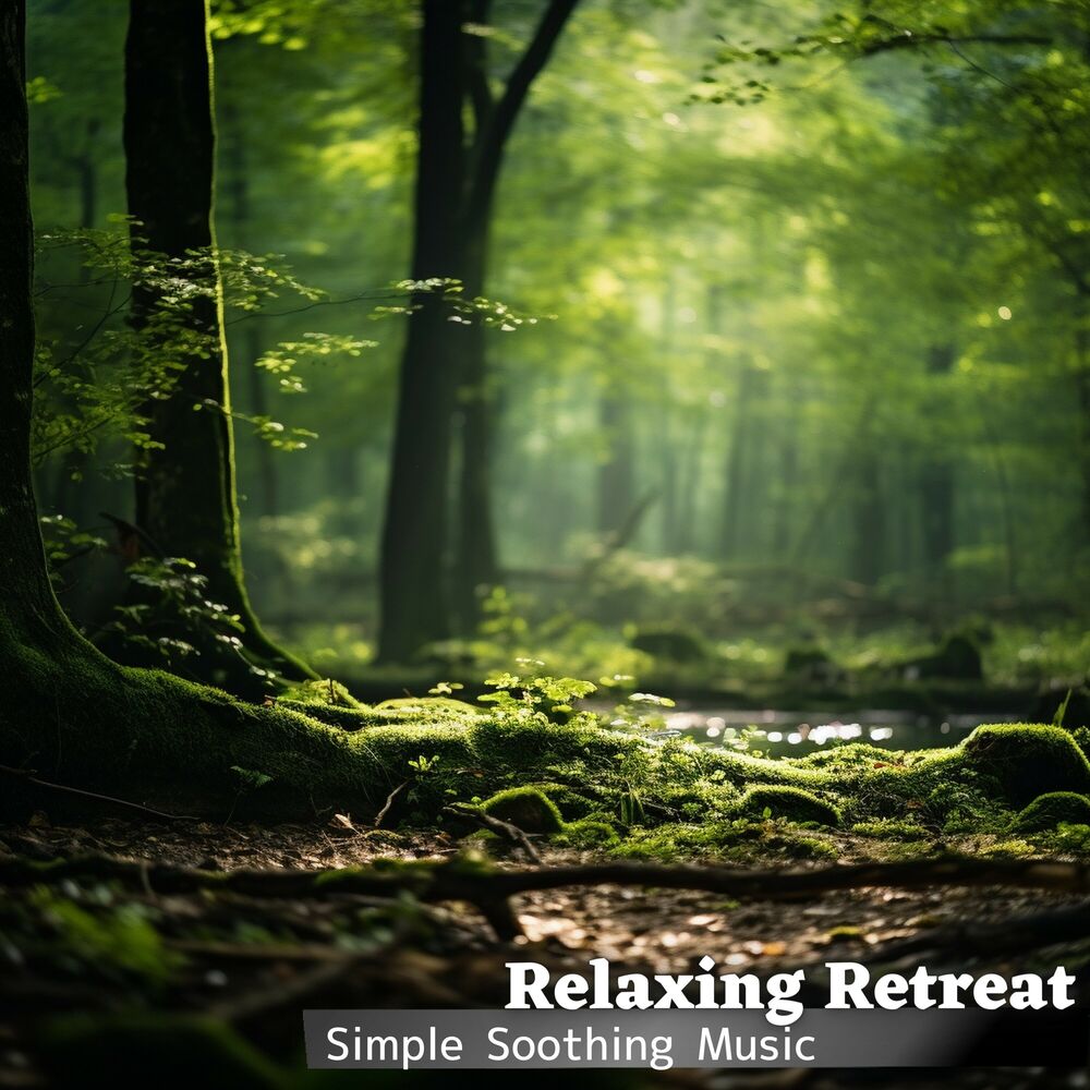 Picture of Simple Soothing Music
