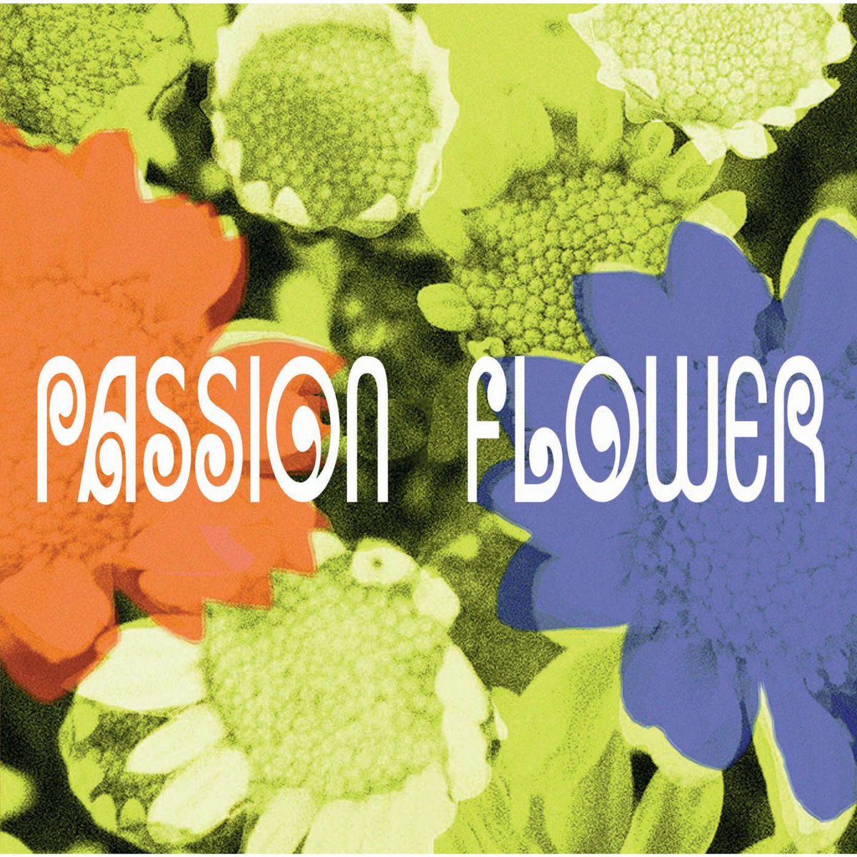 Album cover of PASSION FLOWER