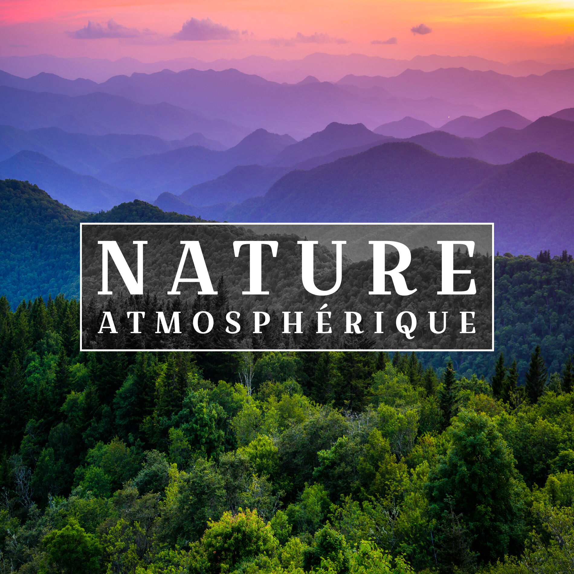 Album cover of Nature atmosphérique: Détente avec des sons de la nature, Méditation dans la forêt, Des sons d'eau apaisante
