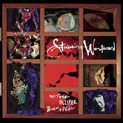 Cover of Wither Blister Burn + Peel