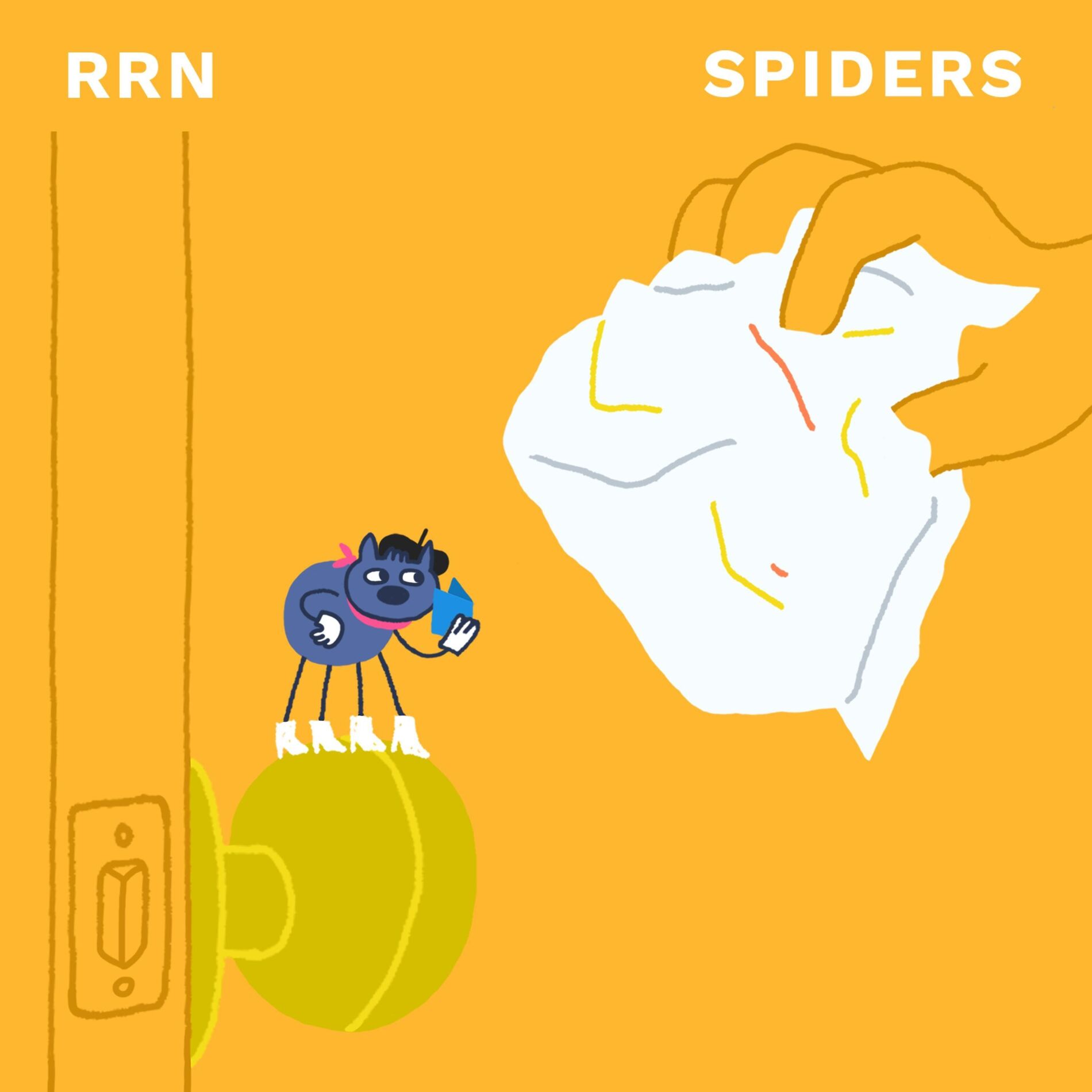 Album cover of Spiders