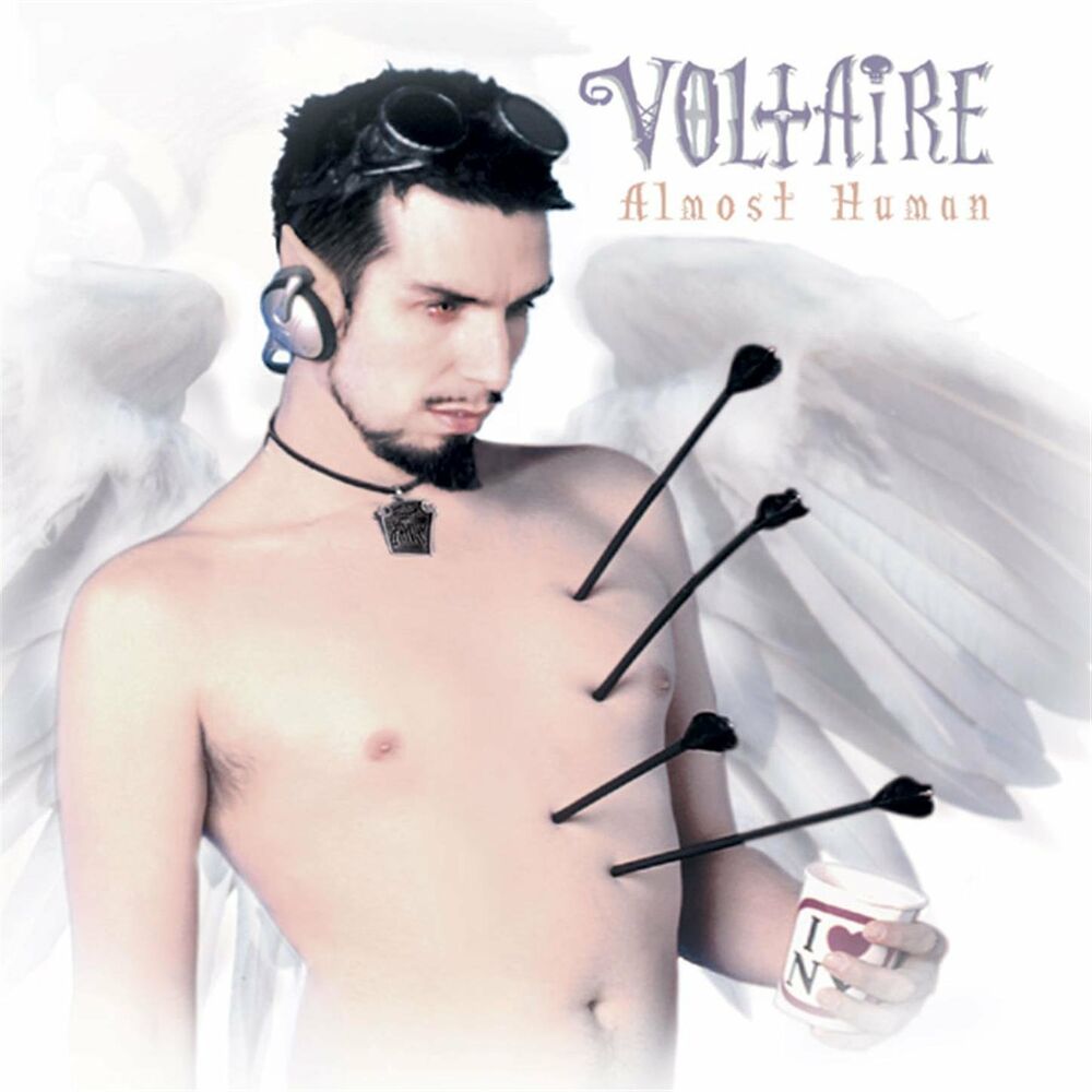 Picture of Almost Human