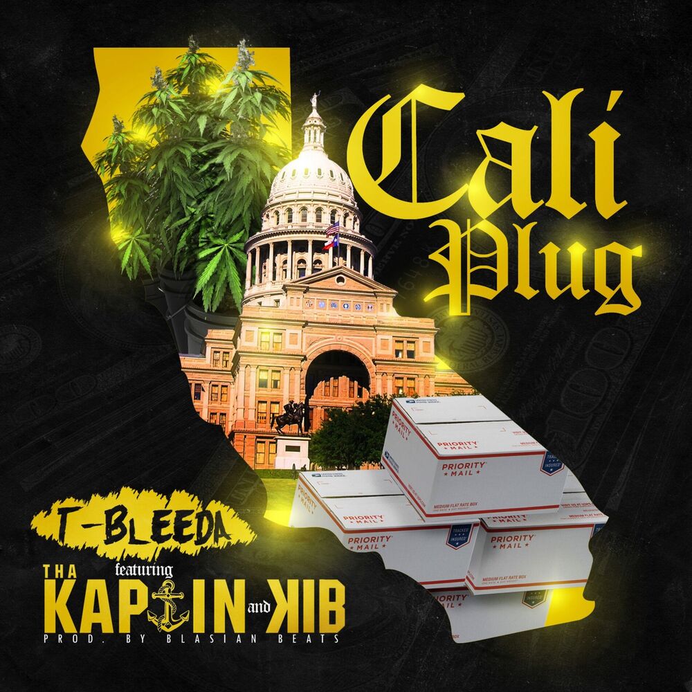 Picture of Cali Plug