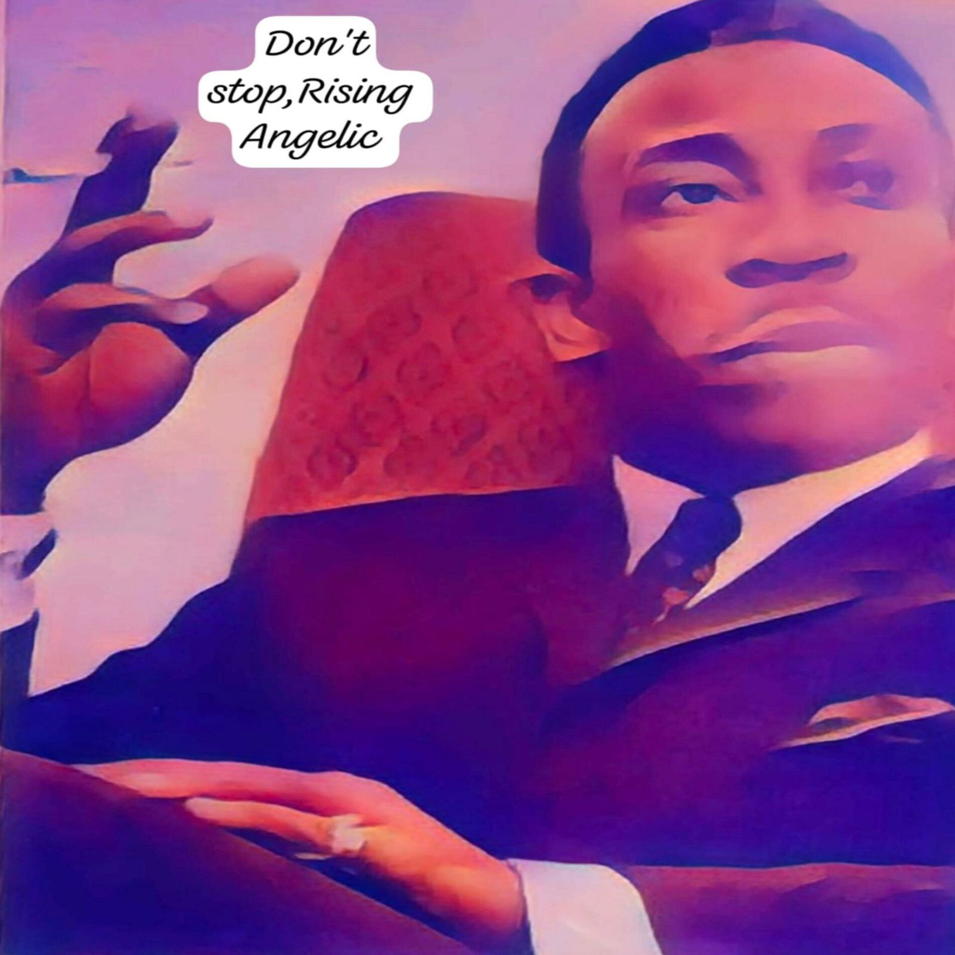 Album cover of Don't stop Rising