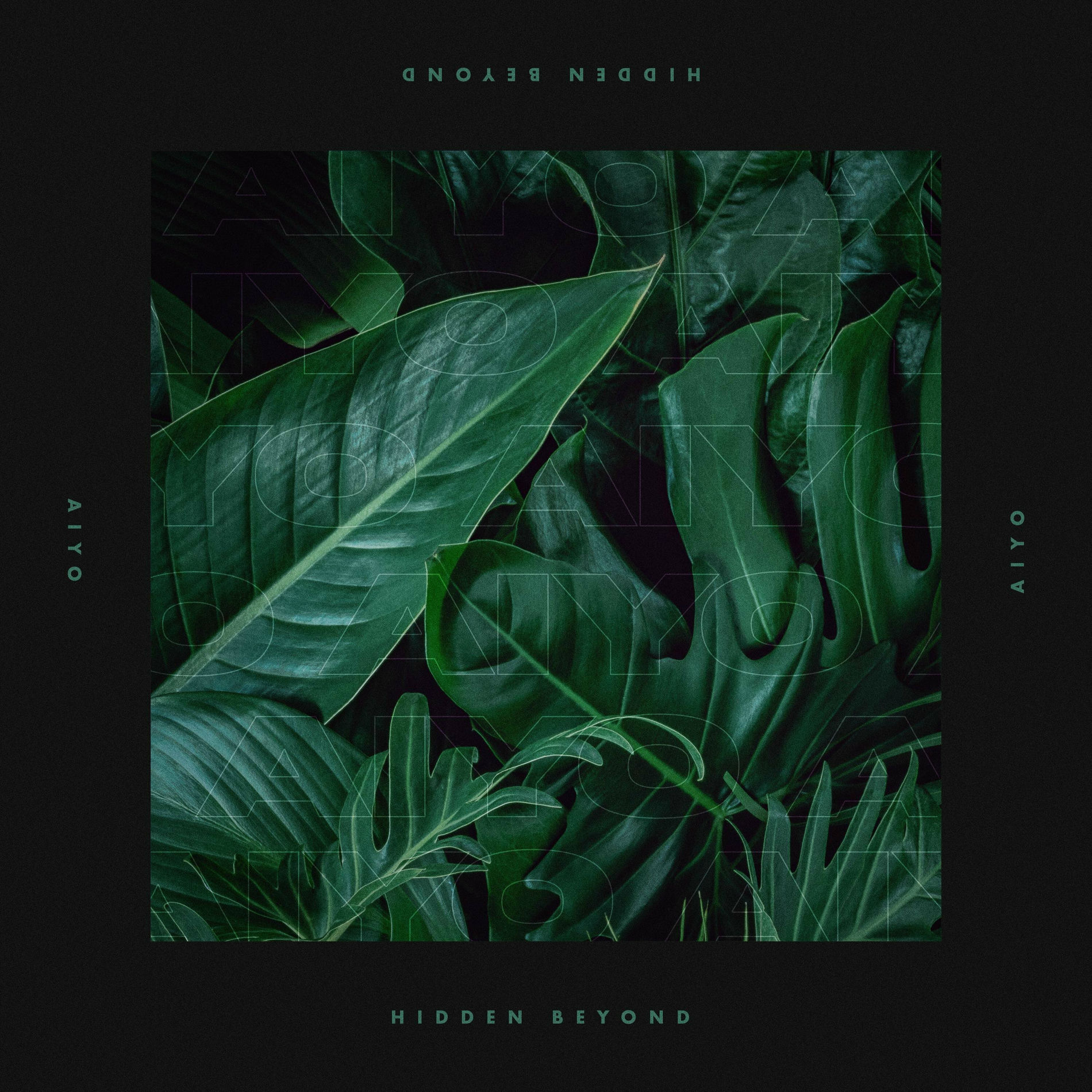 Album cover of Hidden Beyond