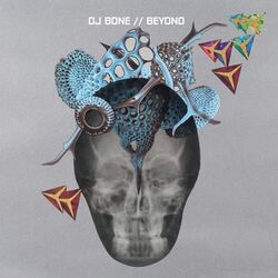 Cover of Beyond
