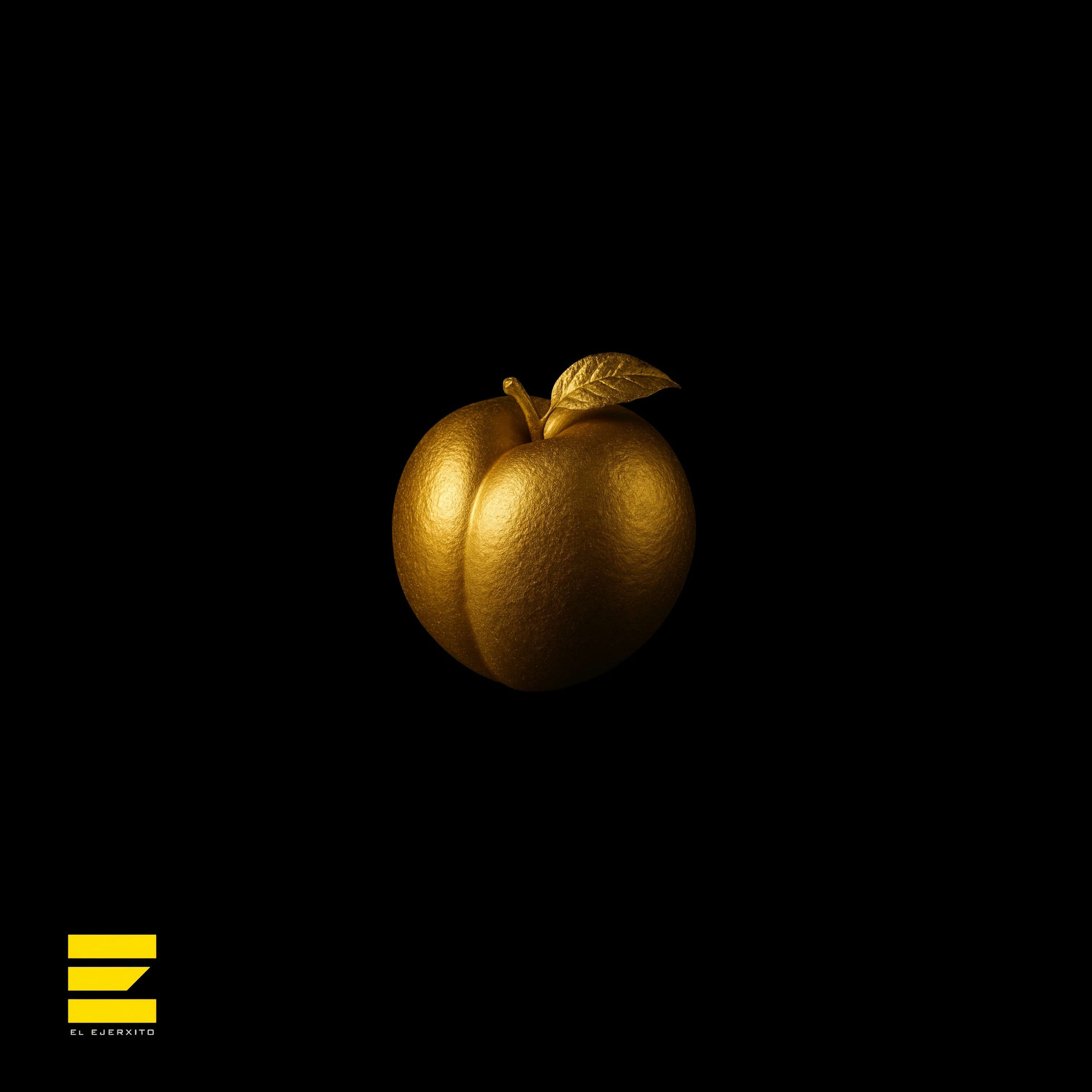 Album cover of D.U.R.O