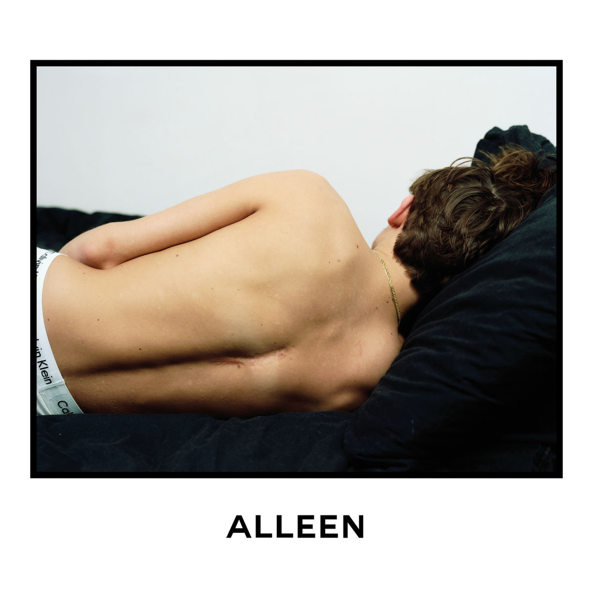 Album cover of Alleen