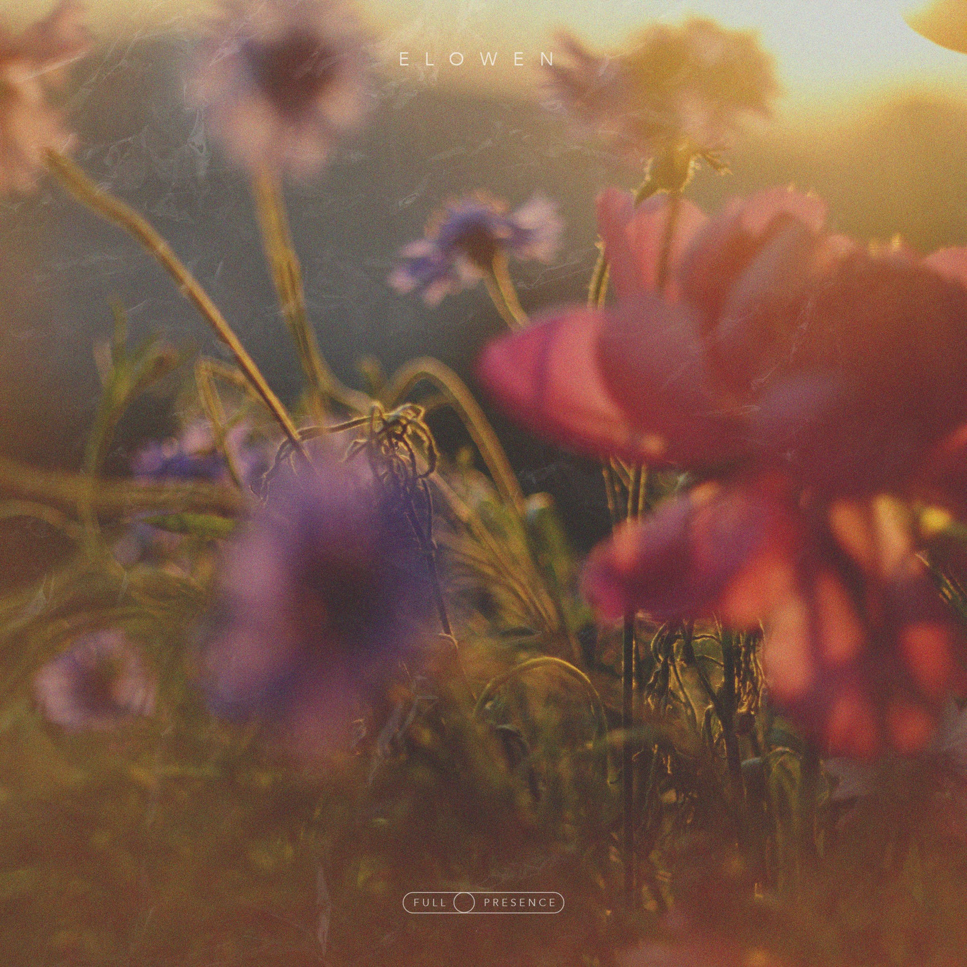 Album cover of Elowen