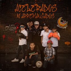 Cover of Acelerados y Arremangados