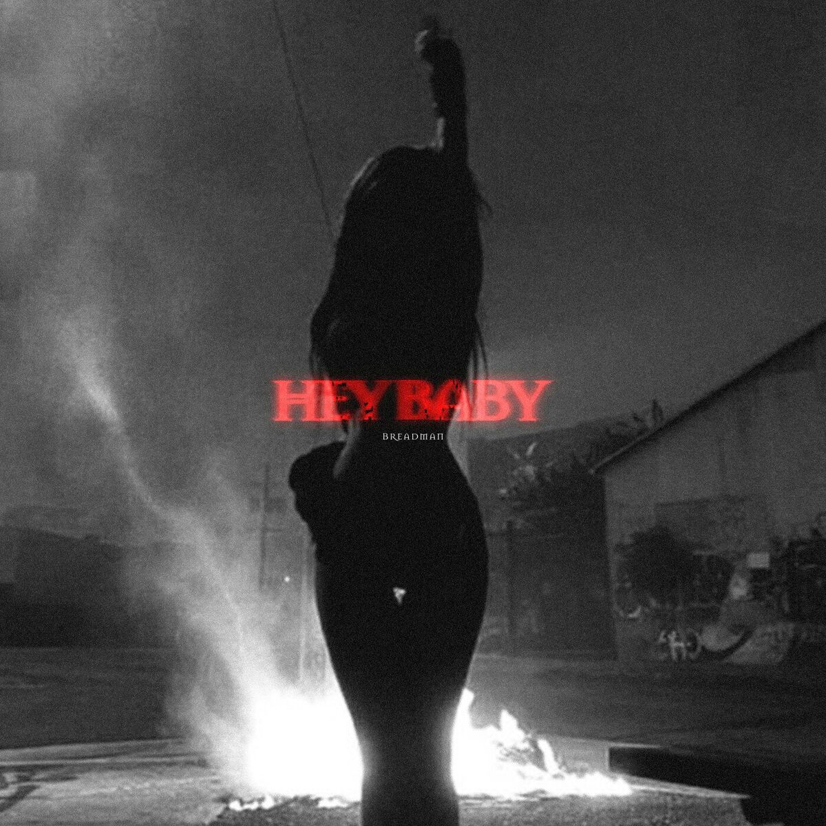 Album cover of hey baby