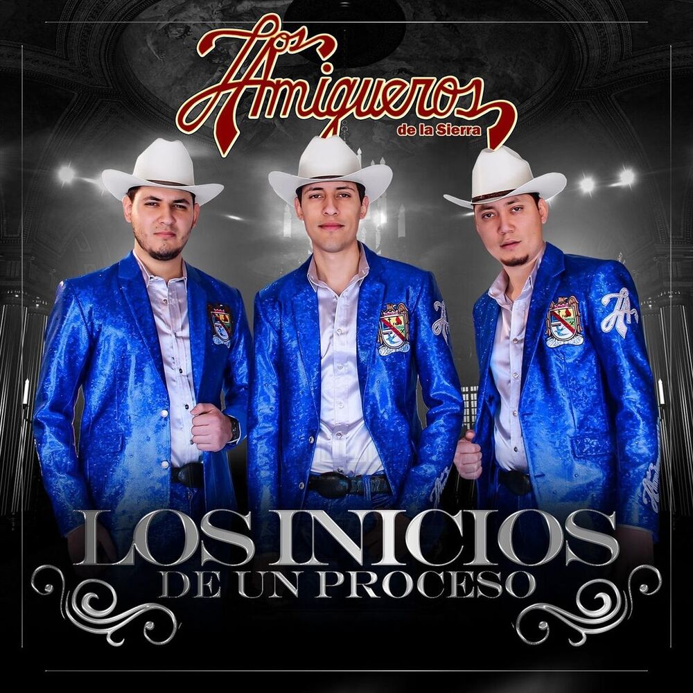 Picture of Los Inicios de un Proceso