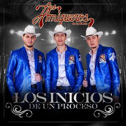 Cover of Los Inicios de un Proceso