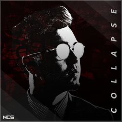 Cover of Collapse