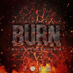 Cover of Pternsky - Burn