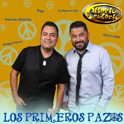 Cover of Los Primeros Pazos