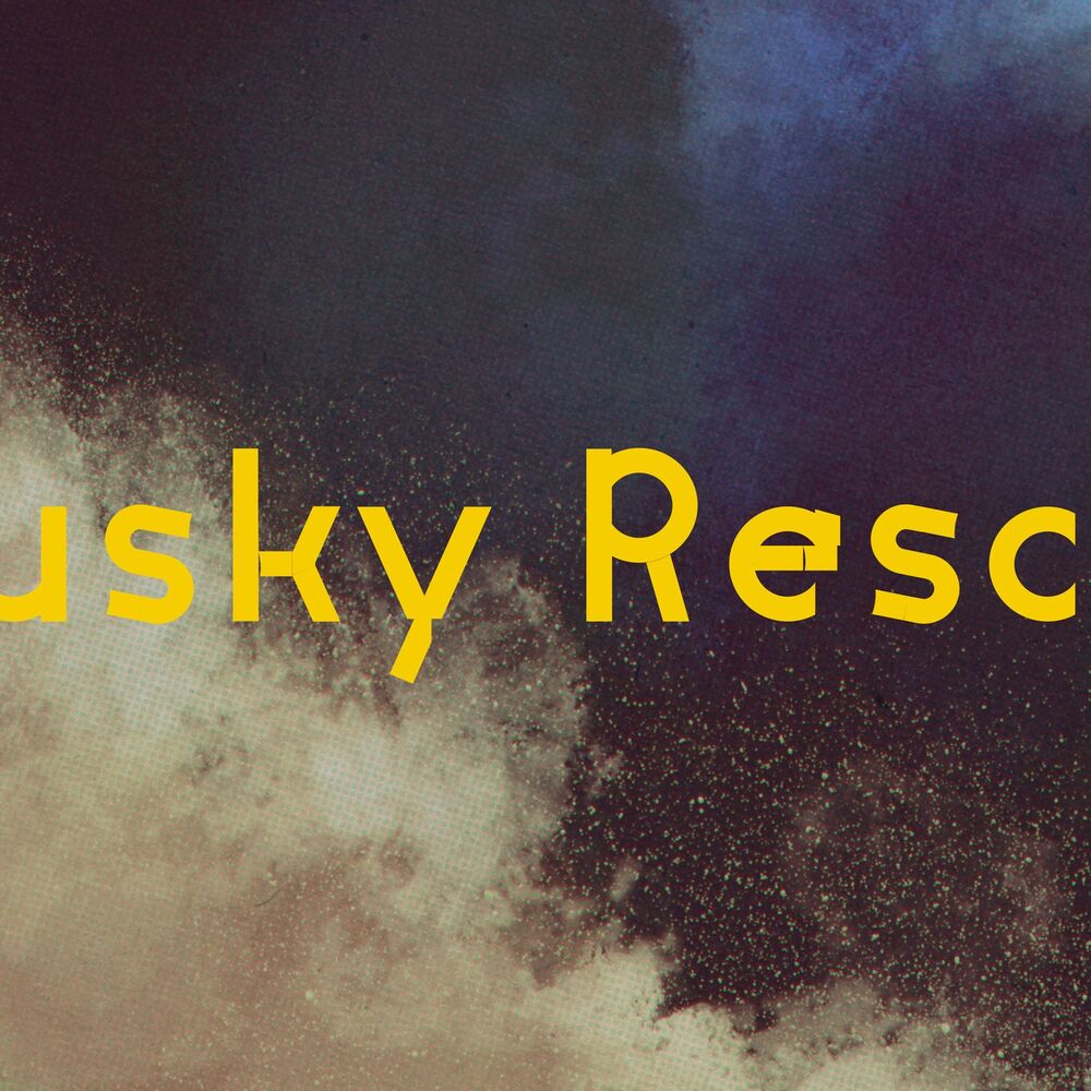 Picture of Catskills Records: 20 Years of Victory: My Shelter