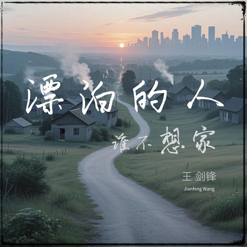 漂泊的人谁不想家 (DJ版)