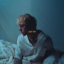 Cover of say so