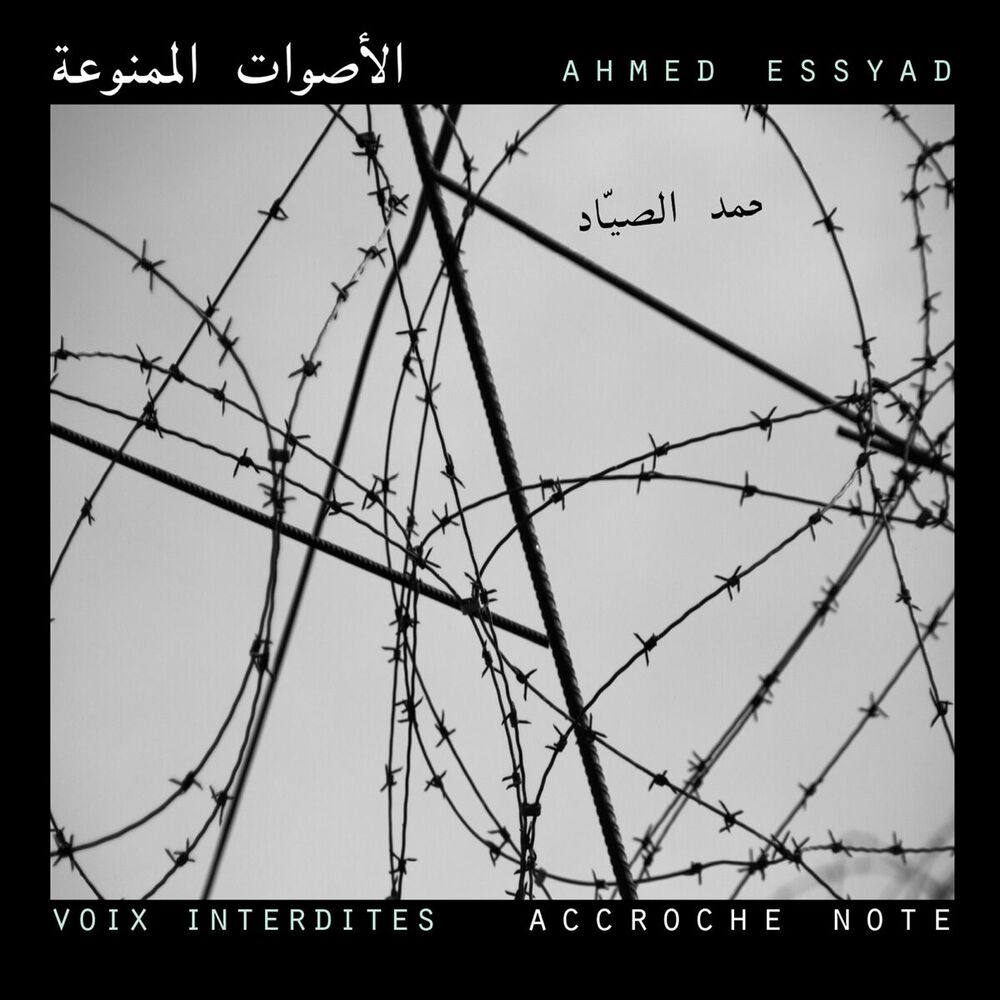 Picture of Voix interdites