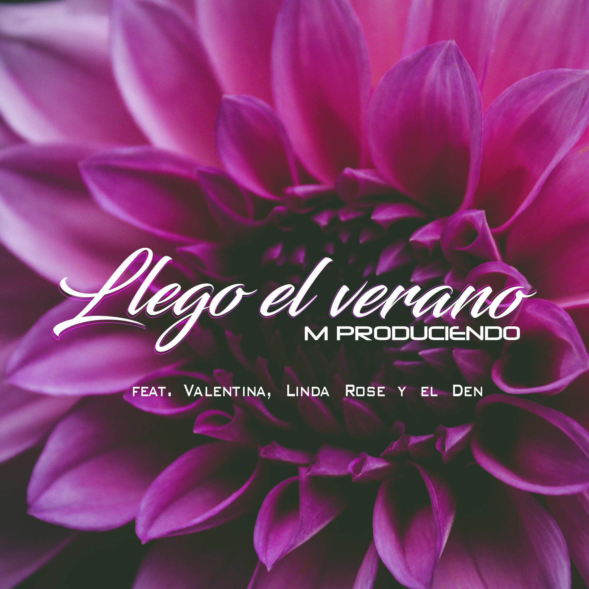 Album cover of Llego el Verano (feat. Valentina, Linda Rose & el Den)