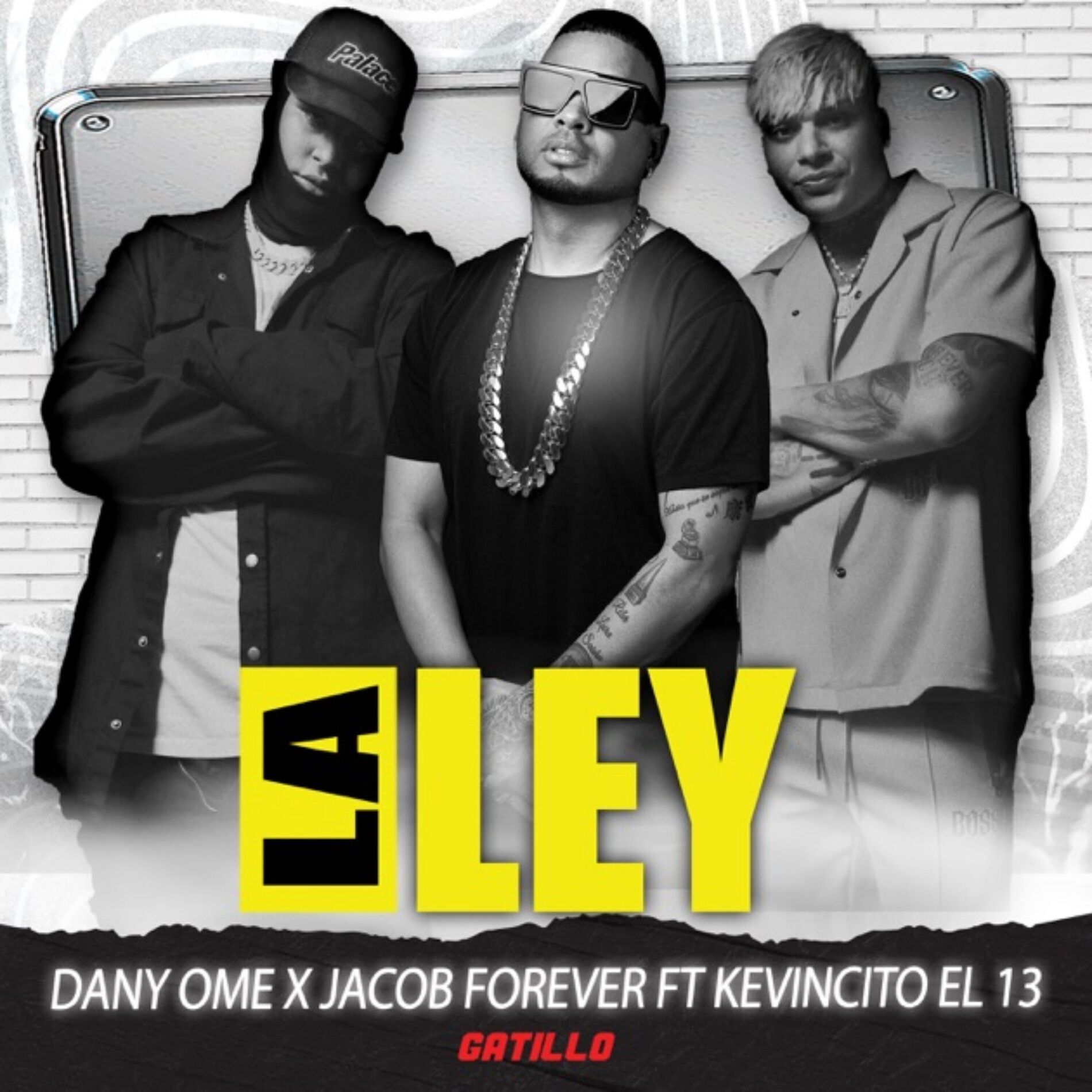 Album cover of La Ley