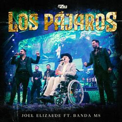 Cover of Los Pájaros