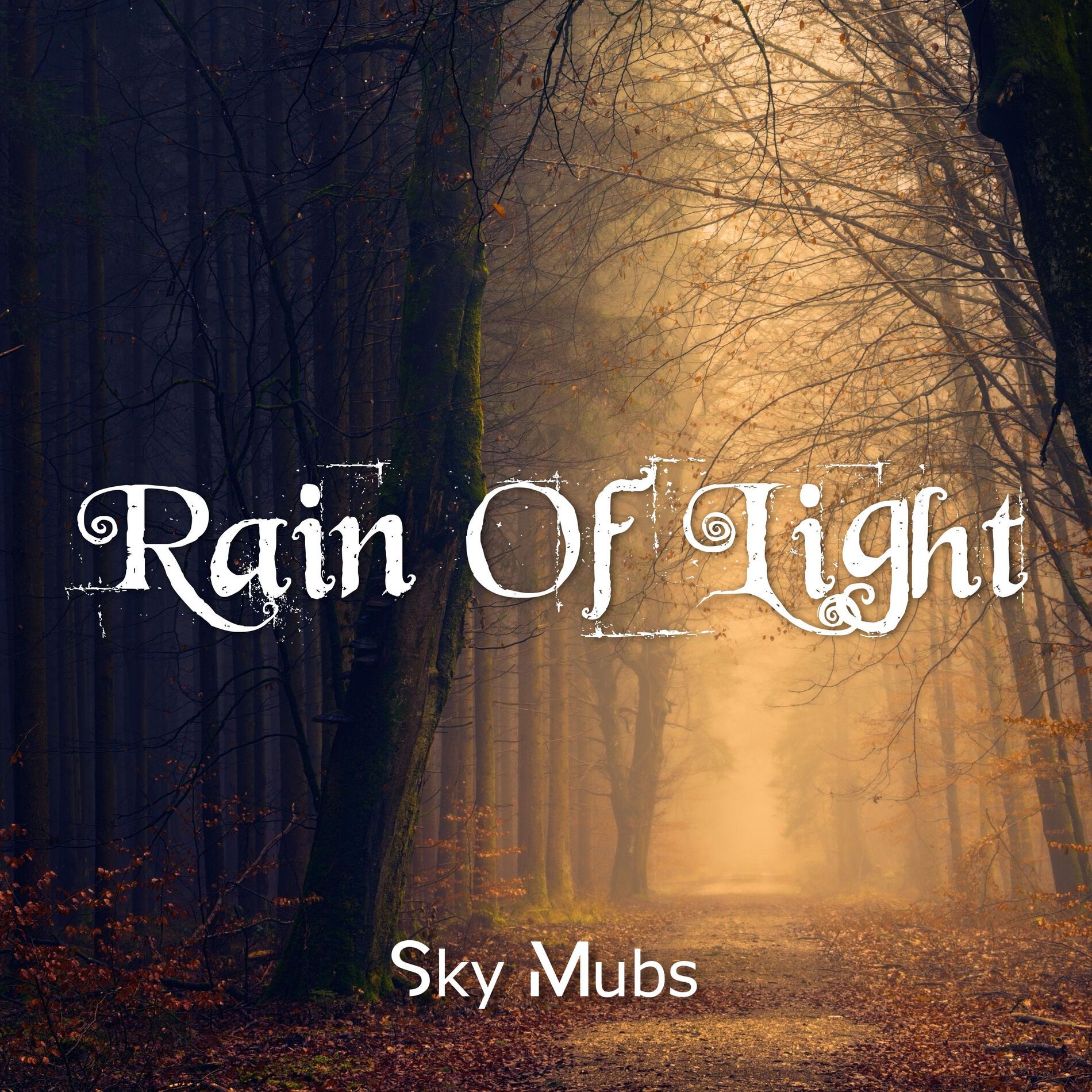 Album cover of Rain of Light