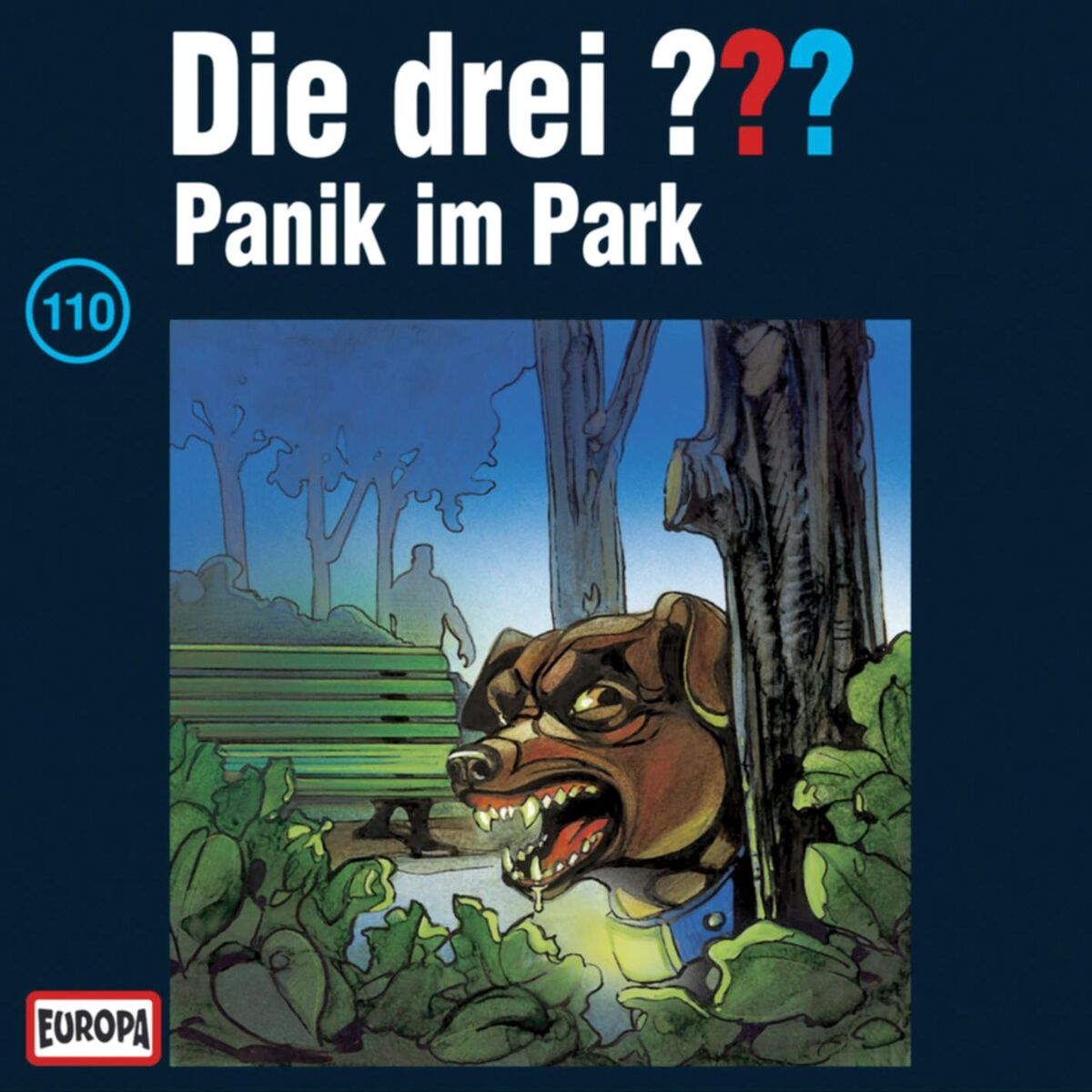 Album cover of 110 - Panik im Park