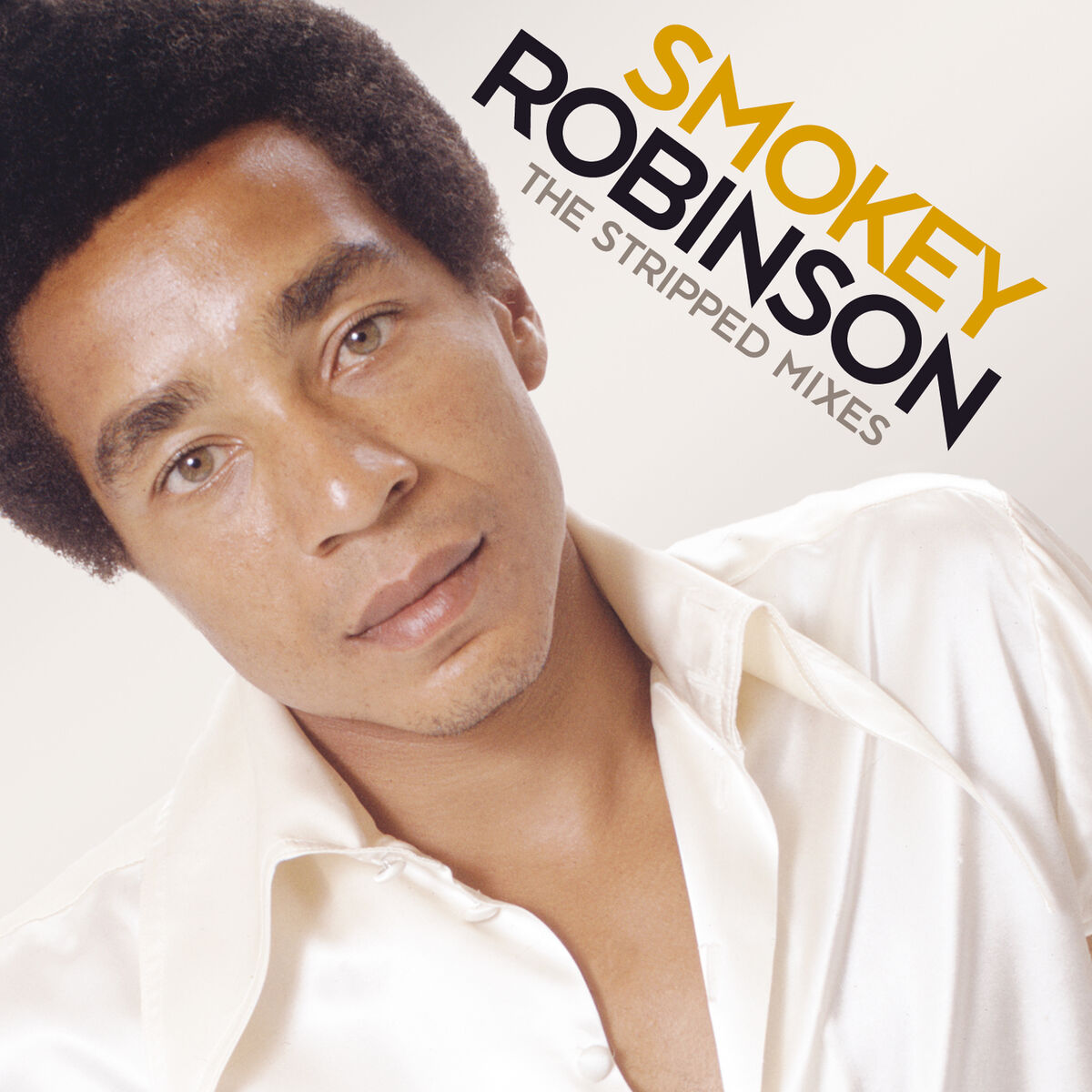 Album cover of The Stripped Mixes