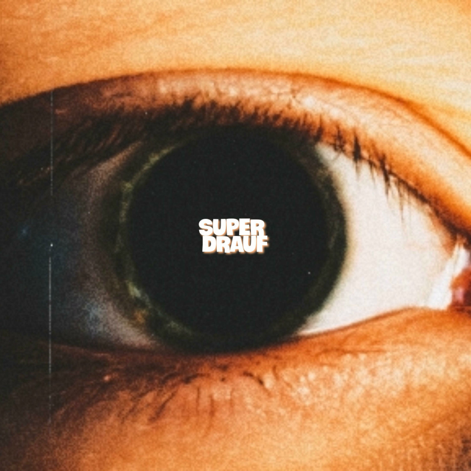 Album picture of SUPER DRAUF