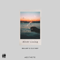 Cover of Silver Lining