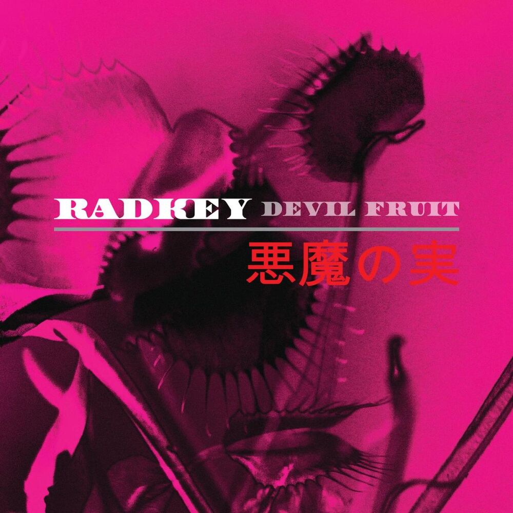 Picture of Devil Fruit
