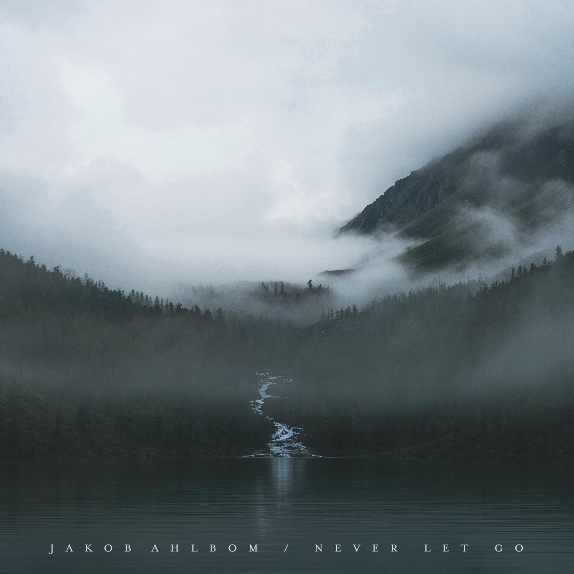 Album cover of Never Let Go