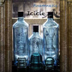 Cover of Anamnesis