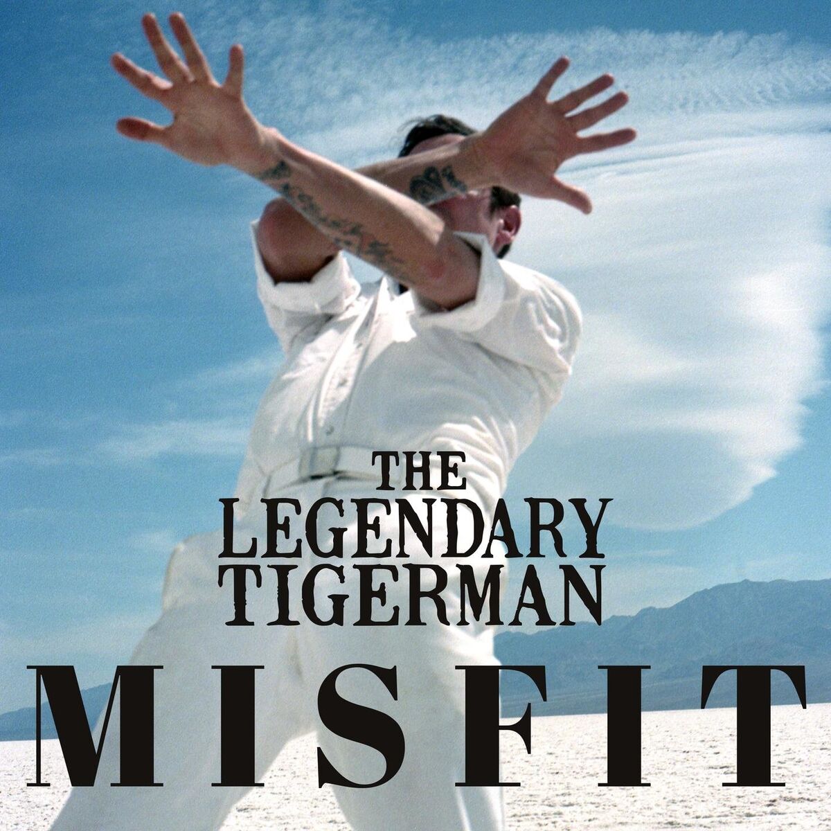 Album cover of Misfit
