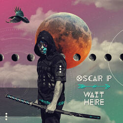 Cover of Wait Here
