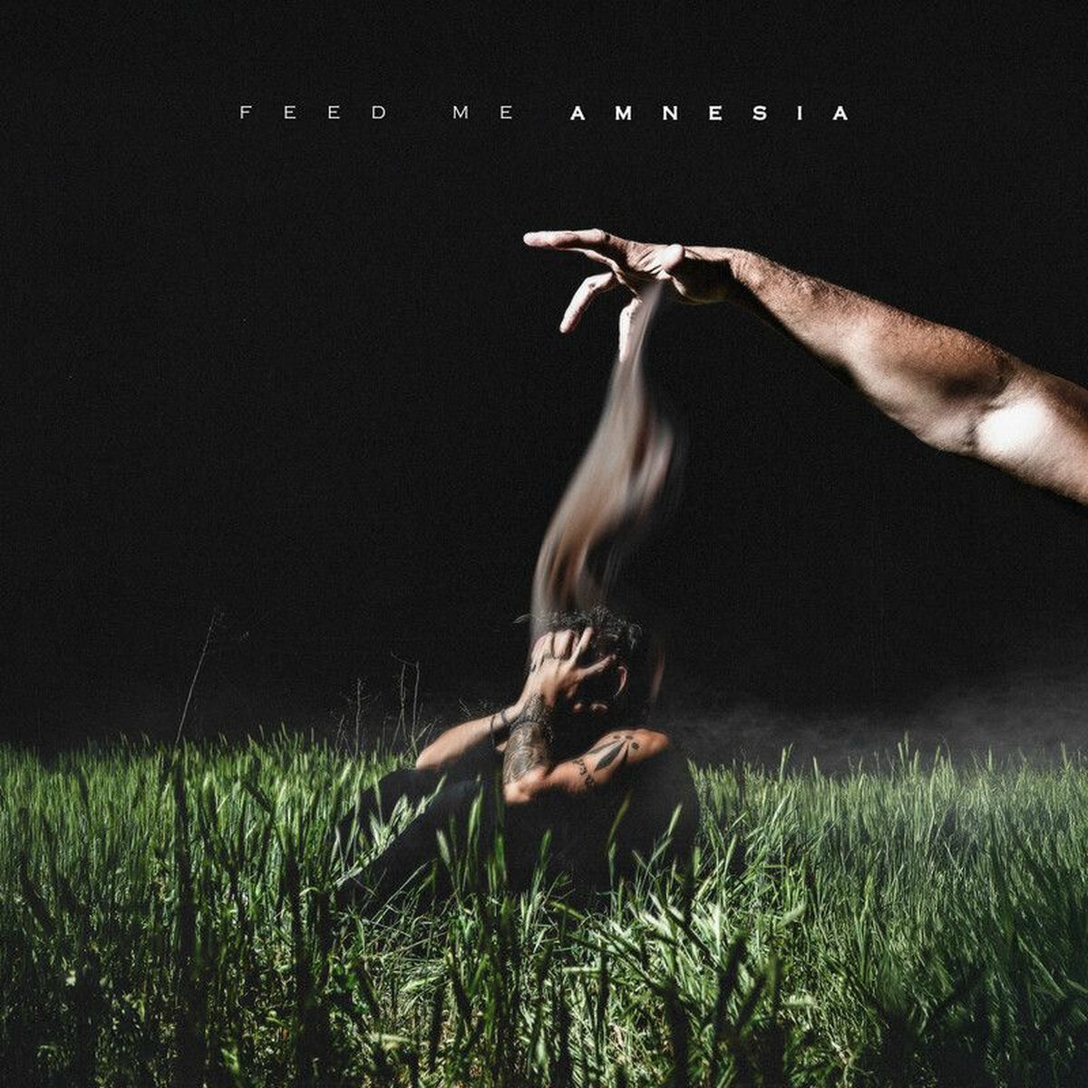 Album cover of feed me amnesia