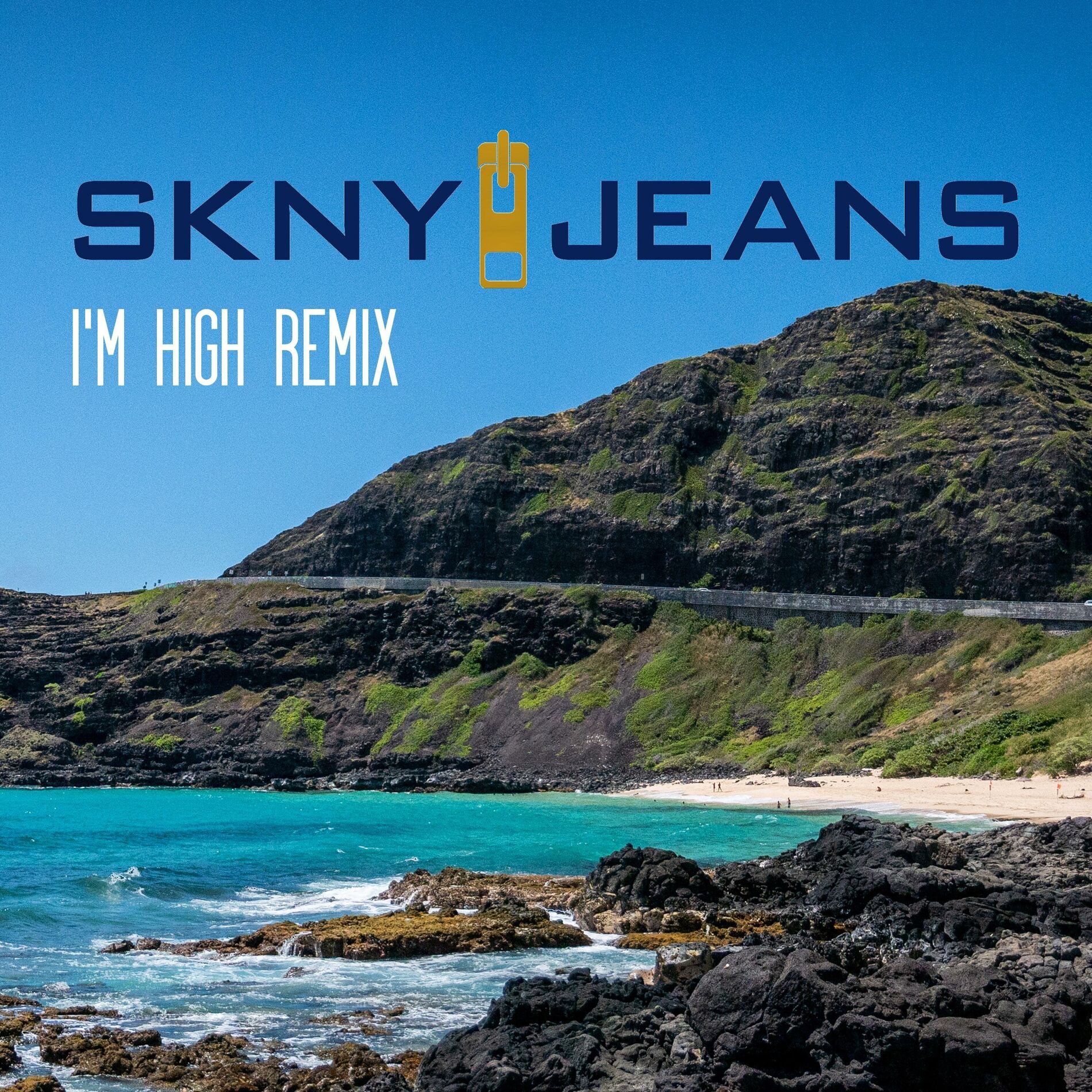 Album cover of I'm High (feat. Hirie) [Remix]