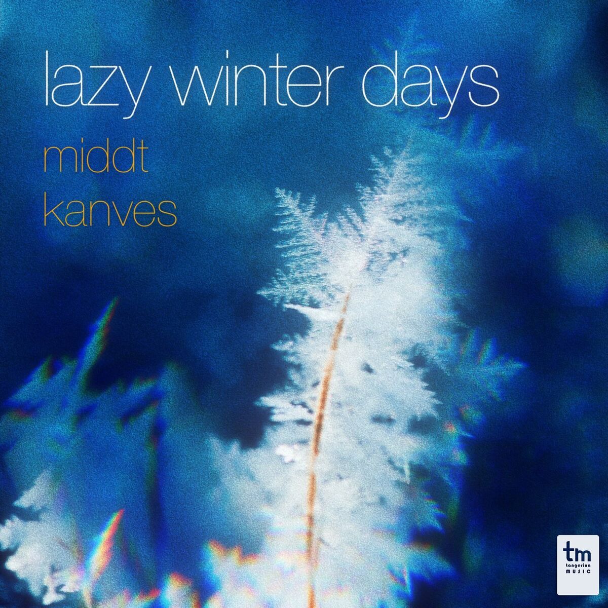 Album cover of lazy winter days