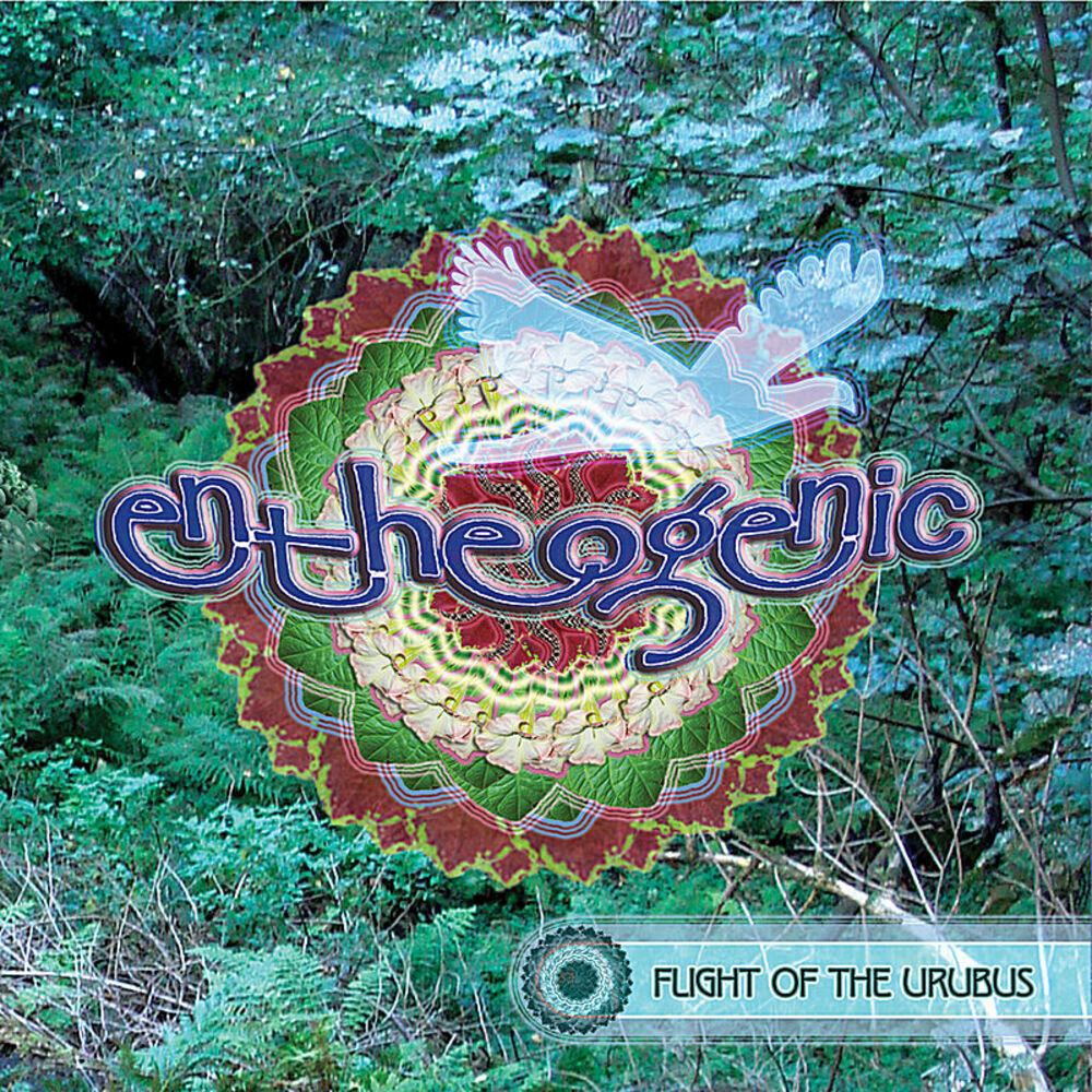 Picture of Flight Of The Urubus
