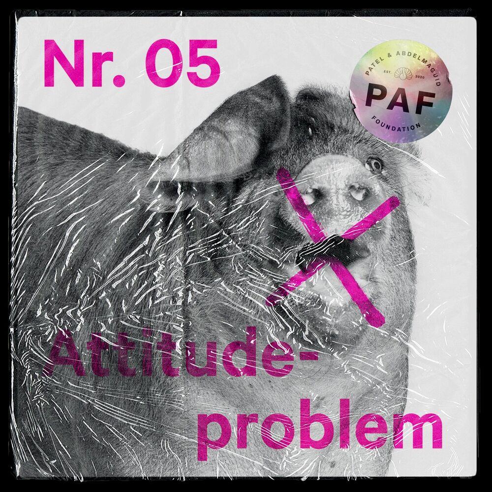 Picture of Attitudeproblem